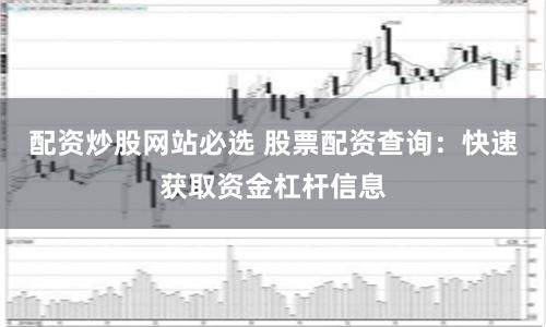 配资炒股网站必选 股票配资查询：快速获取资金杠杆信息